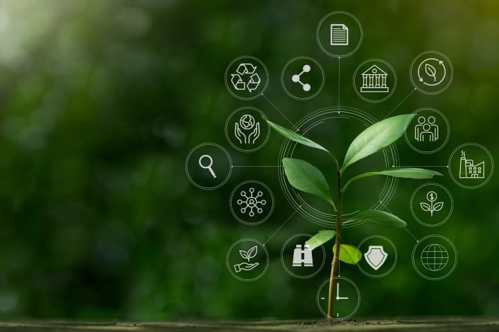 Embracing Sustainability: A Strategic Move for BPO Partners