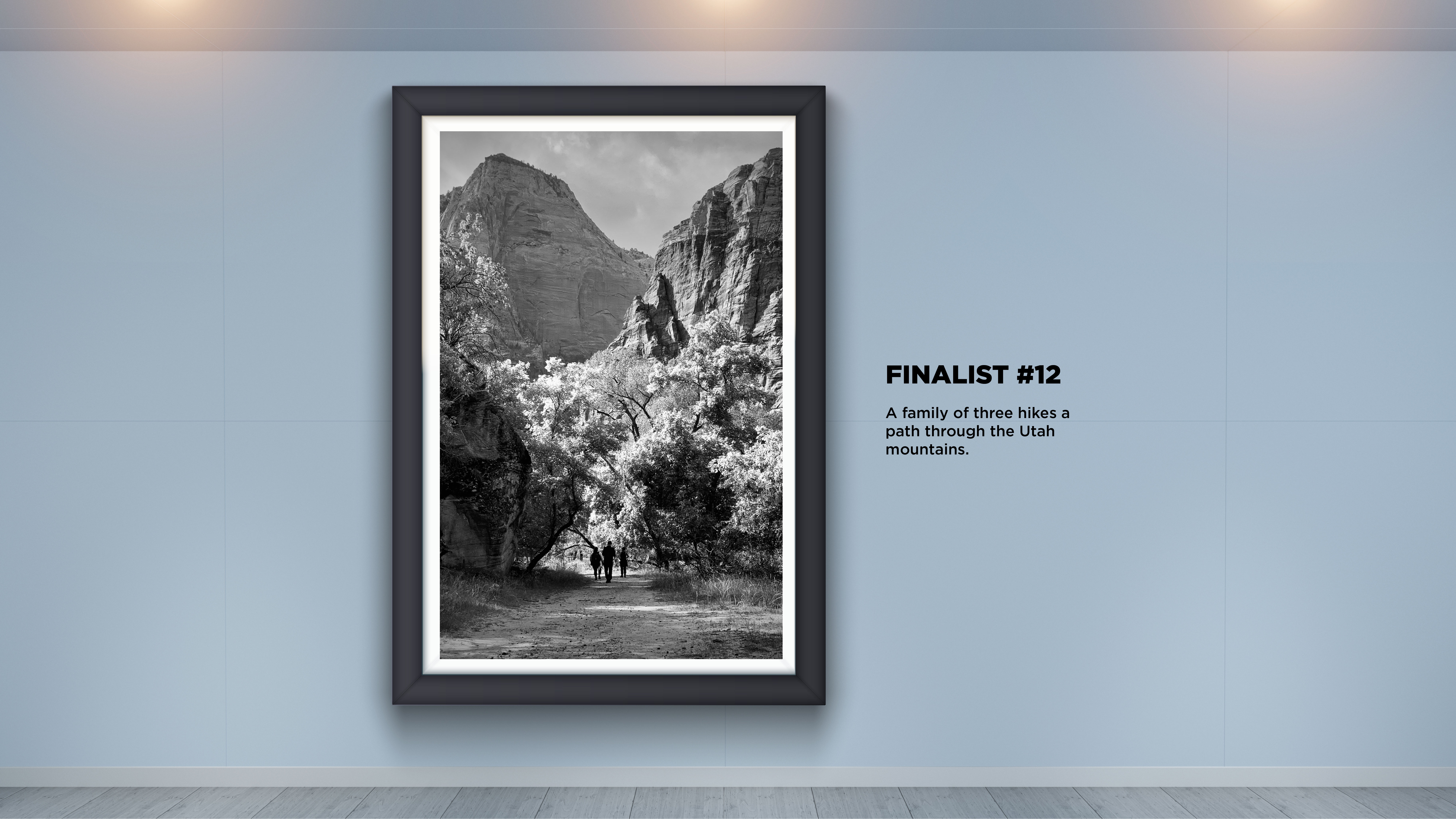 World Photography Day Voting_12