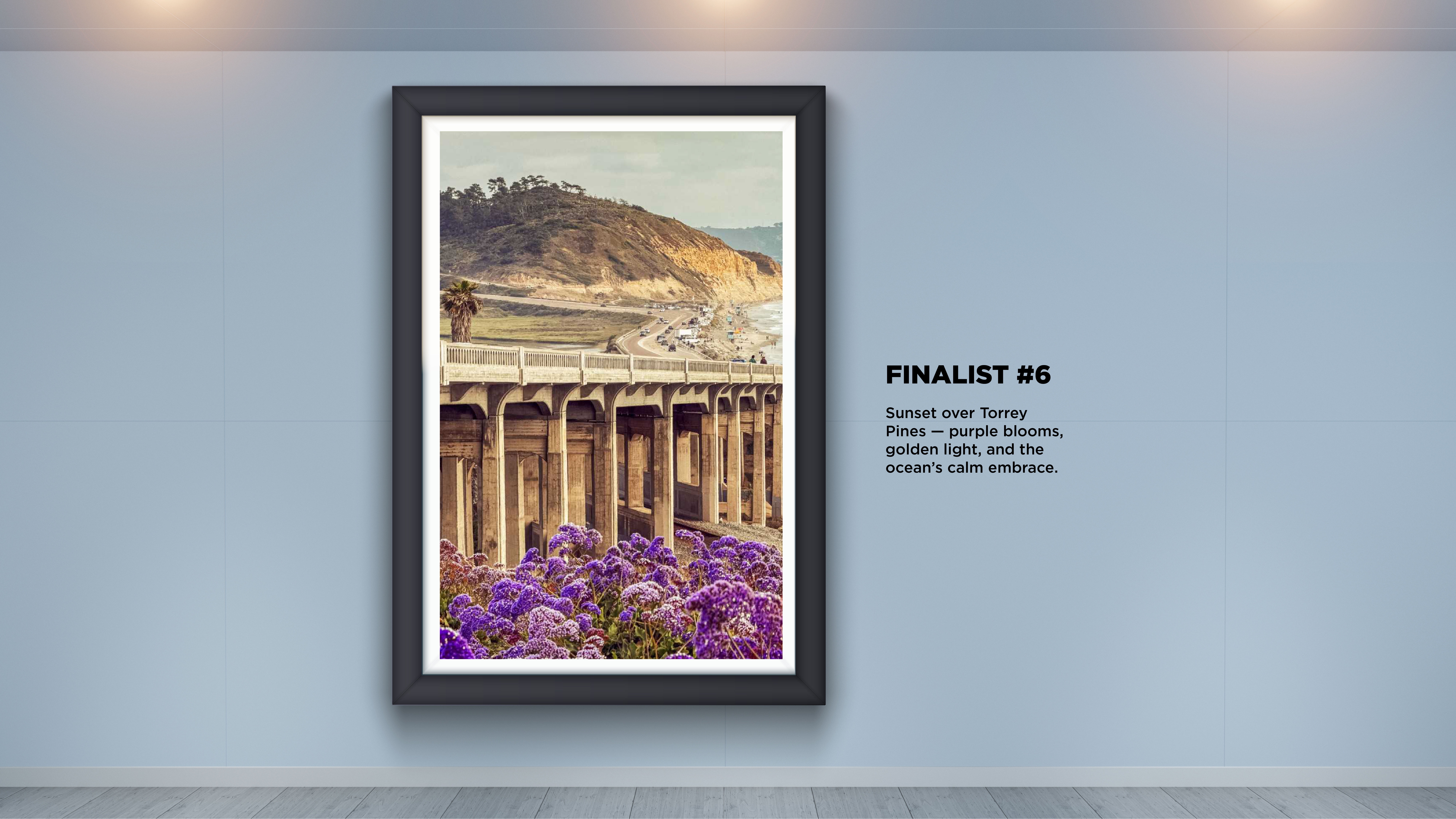 World Photography Day Voting_6