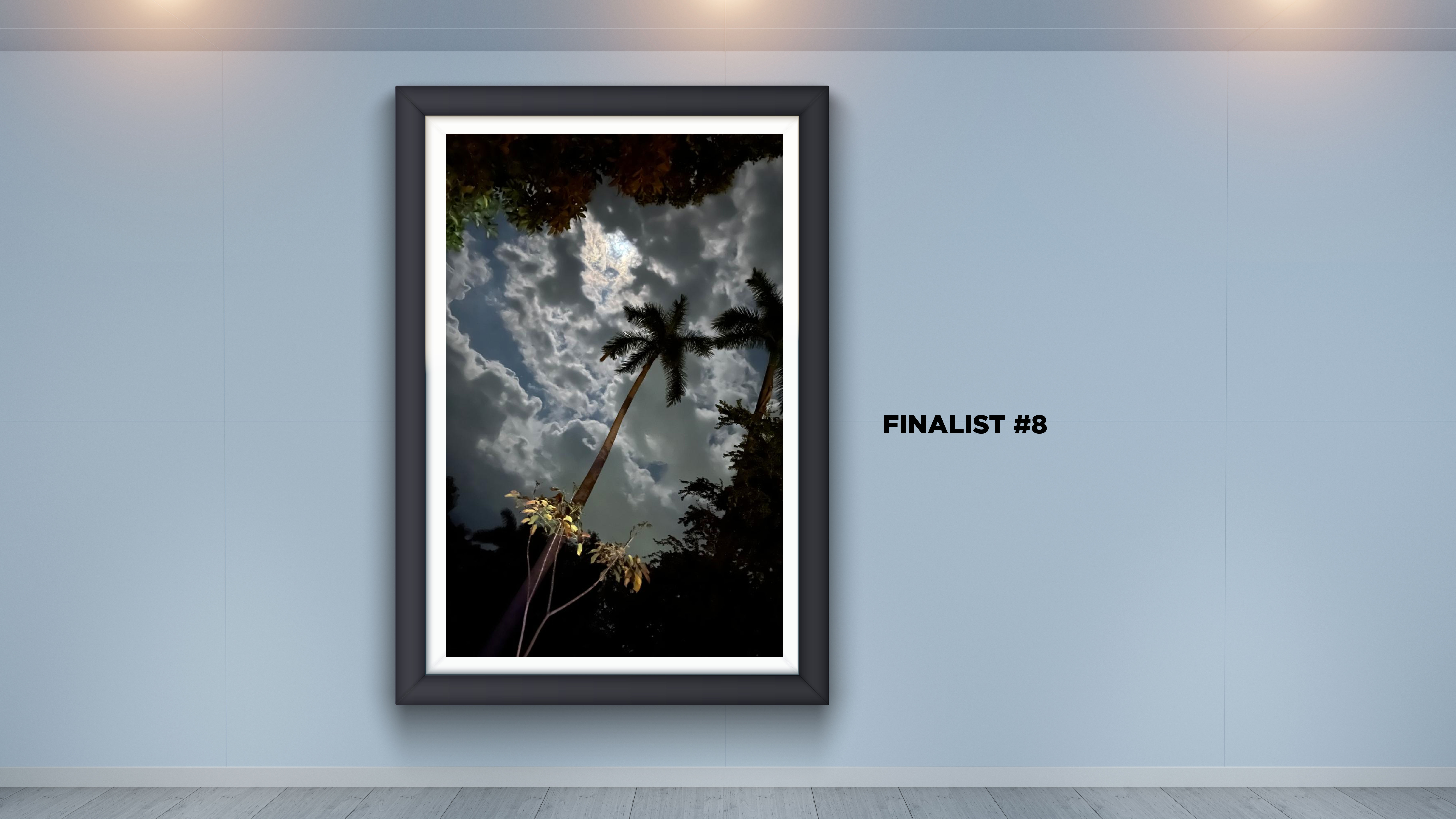 World Photography Day Voting_8