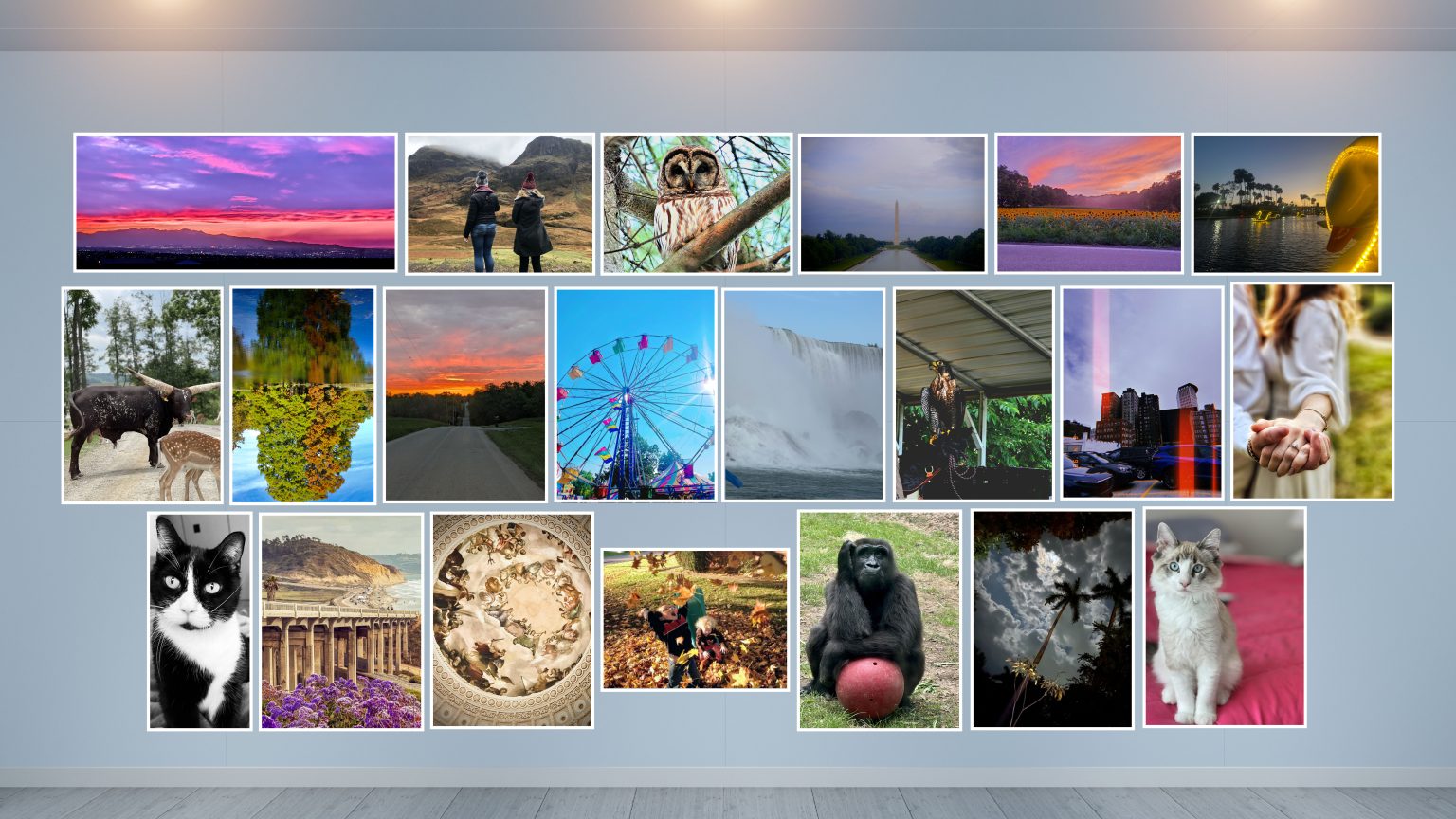 World Photography Day Winner_p2